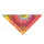Pet Bandanas - Blandade Motiv - bild 3