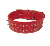 Petsters Breda (6 cm) Äkta Läderhalsband med Nitar, Rött