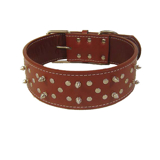 Petsters Breda (6 cm) Äkta Läderhalsband med Nitar, Coffie