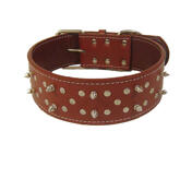 Petsters Breda (6 cm) Äkta Läderhalsband med Nitar, Coffie