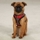 Petsters Holiday Tartan Sele - bild 2