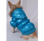 Petsters Exclusive Bomber Jacket, Blue