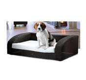 Petsters Eleganta Soffa