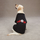 Petsters Adopt T-shirt, Svart - bild 2