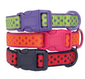 Petsters Brite Polka Dot Halsband