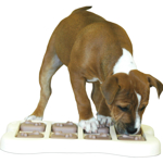 Dog Brick - Nina Ottosson - Plast