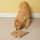 Zanies Paws-On Puzzle Squares - bild 3