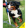 Boken Agility från Start till Mål