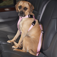 HUND - Koppel - Halsband - Selar - Selar - Bilselar - Petsters Cruising Companion Bilsele, Rosa