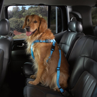 HUND - Koppel - Halsband - Selar - Selar - Bilselar - Petsters Cruising Companion Bilsele, Carribean Blue