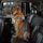 Petsters Cruising Companion Bilsele, Carribean Blue - bild 1