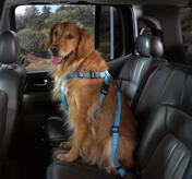 Petsters Cruising Companion Bilsele, Carribean Blue