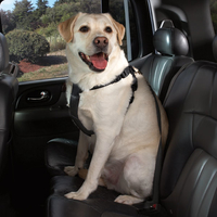 HUND - Koppel - Halsband - Selar - Selar - Bilselar - Petsters Cruising Companion Bilsele, Svart