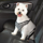 Petsters Cruising Companion Houndstooth Bilsele, Svart - bild 1