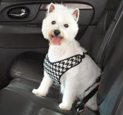 Petsters Cruising Companion Houndstooth Bilsele, Svart