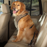 HUND - Koppel - Halsband - Selar - Selar - Bilselar - Petsters Cruising Companion Houndstooth Bilsele, Brun