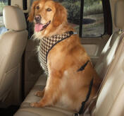 Petsters Cruising Companion Houndstooth Bilsele, Brun
