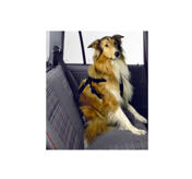 Karlie Bilsele