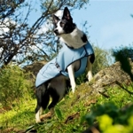 Hurtta Cooling Coat / Kylväst - Blå