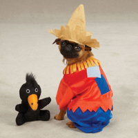 HUND - Fest - Kostymer - Halloween - Maskerad - ZZ Scarecrow Kostym