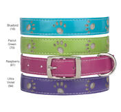 Petsters Sparkle Paw Dog Collars