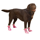 Petsters Camo Oxford Dog Boots, Rosa - bild 2