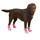 Petsters Camo Oxford Dog Boots, Rosa - bild 2