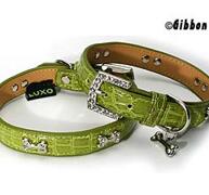 Croco Halsband med Strass