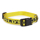 Gold's Gym Halsband - bild 4