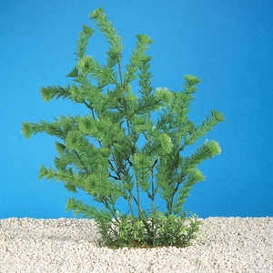 Cambridge Aquatics Deluxe Plastväxt Parrots Feather