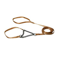 HUND - Koppel - Halsband - Selar - Koppel - Retriever - Utställning - Petsters Utställnings Koppel med Halvstryp, Beige