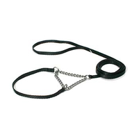 HUND - Koppel - Halsband - Selar - Koppel - Retriever - Utställning - Petsters Utställnings Koppel med Halvstryp, Svart