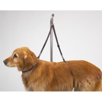 HUNDFRISÖR - Trimbord - Top Performance Nylon Sele