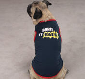 Petsters Born To Bark Linne