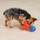 Zanies Puzzle Station Toy - bild 9
