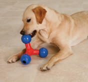 Zanies Puzzle Station Toy