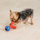 Zanies Puzzle Station Toy - bild 5