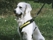 Allsafe Krocktestad Bilsele - bild 1