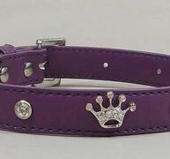 Petster Lila Strass Halsband, Krona