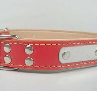 Petster Fodrade läder halsband