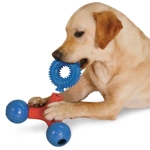 Zanies Puzzle Station Nubbies, Spike Rings