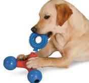 Zanies Puzzle Station Nubbies, Spike Rings