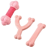 Nylabone My Royal Princess Mint Ben, Små hundar