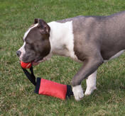 Grriggles Firehose Tug & Throws