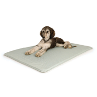 HUND - Bäddar - Madrasser - Hundsängar - Förhöjda - "Cool" Bed Hundbädd, Grå