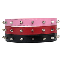 HUND - Koppel - Halsband - Selar - Halsband - Strass - Nitar - ES Nit Halsband