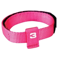 HUND - Koppel - Halsband - Selar - Halsband - Nylon - Polyester - Petsters Identitets Halsband 8-Pack