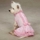 ES Charlotte Ruffle Dog Dresses - bild 2