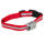 Blinkande Halsband - bild 3