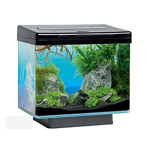 Juwel Aquarium Black Vio 40